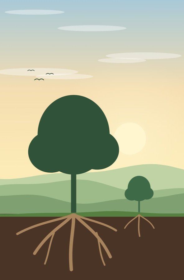 A large tree with deep roots beside a small tree